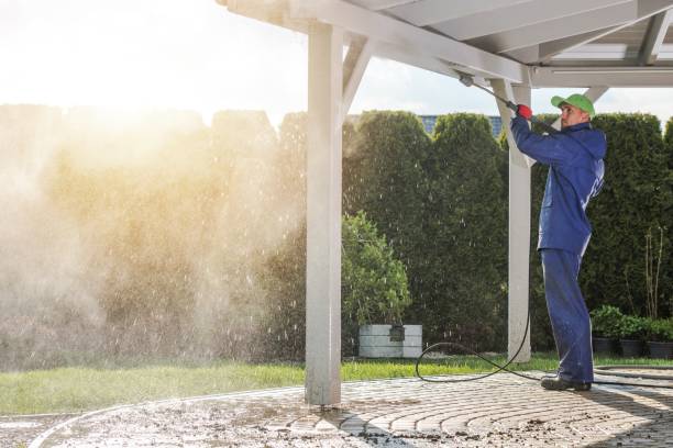 Best Soft Washing  in Vardaman, MS