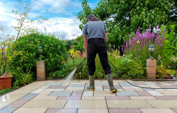 Best Driveway Pressure Washing  in Vardaman, MS